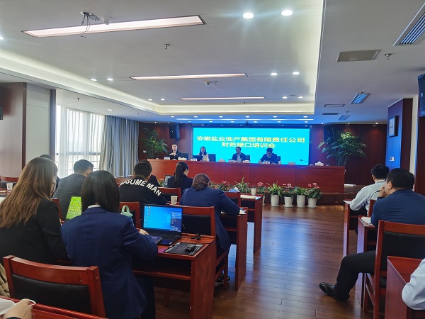 徽鹽地產(chǎn)集團(tuán)開展明源與財務(wù)接口實操培訓(xùn)