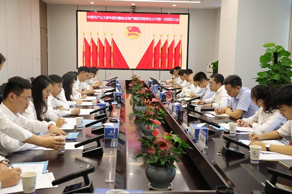 青春向黨傳薪火 踔厲奮發(fā)新時(shí)代——安徽鹽業(yè)地產(chǎn)集團(tuán)團(tuán)支部成立大會(huì)暨團(tuán)員大會(huì)勝利召開